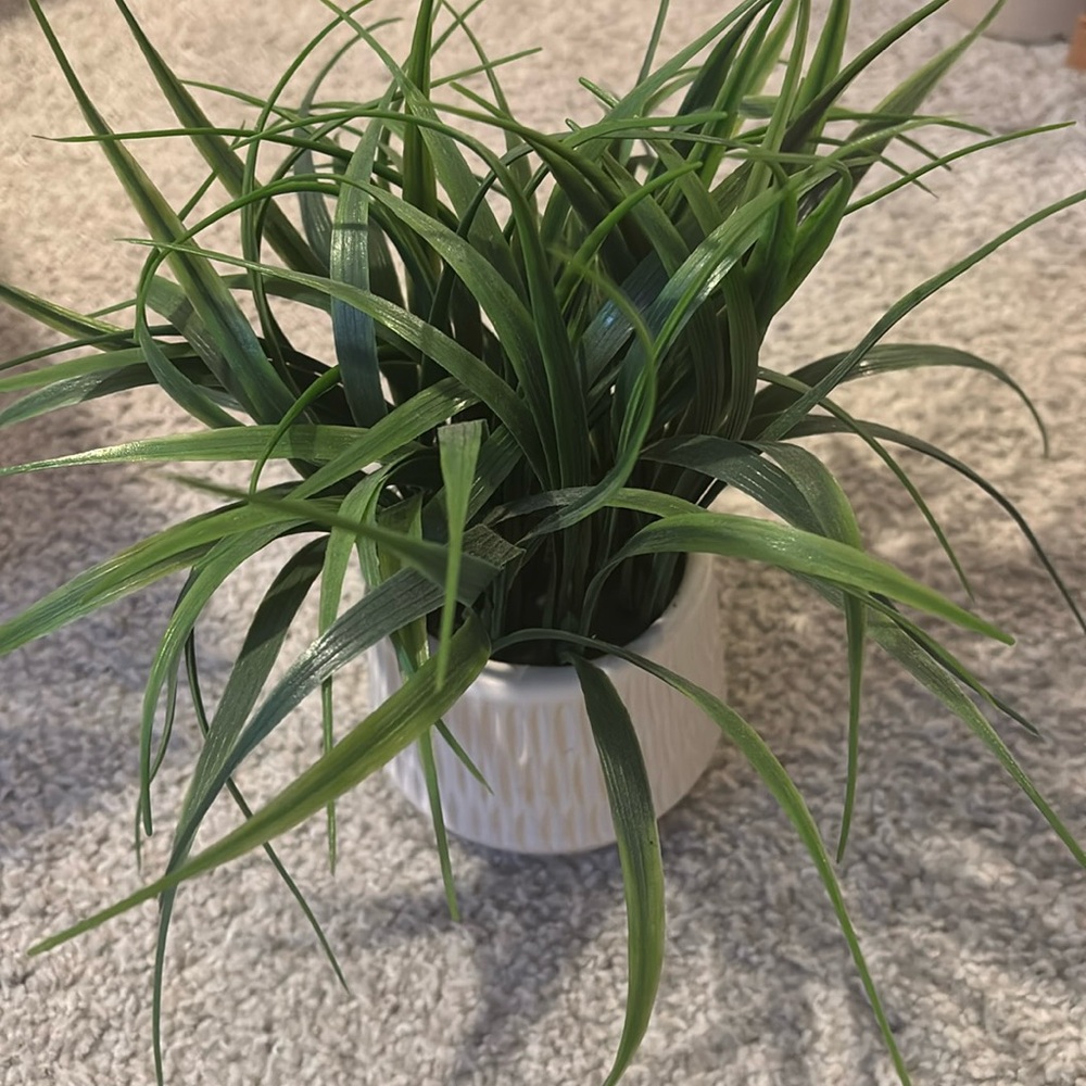 Fake potted plant for decoration